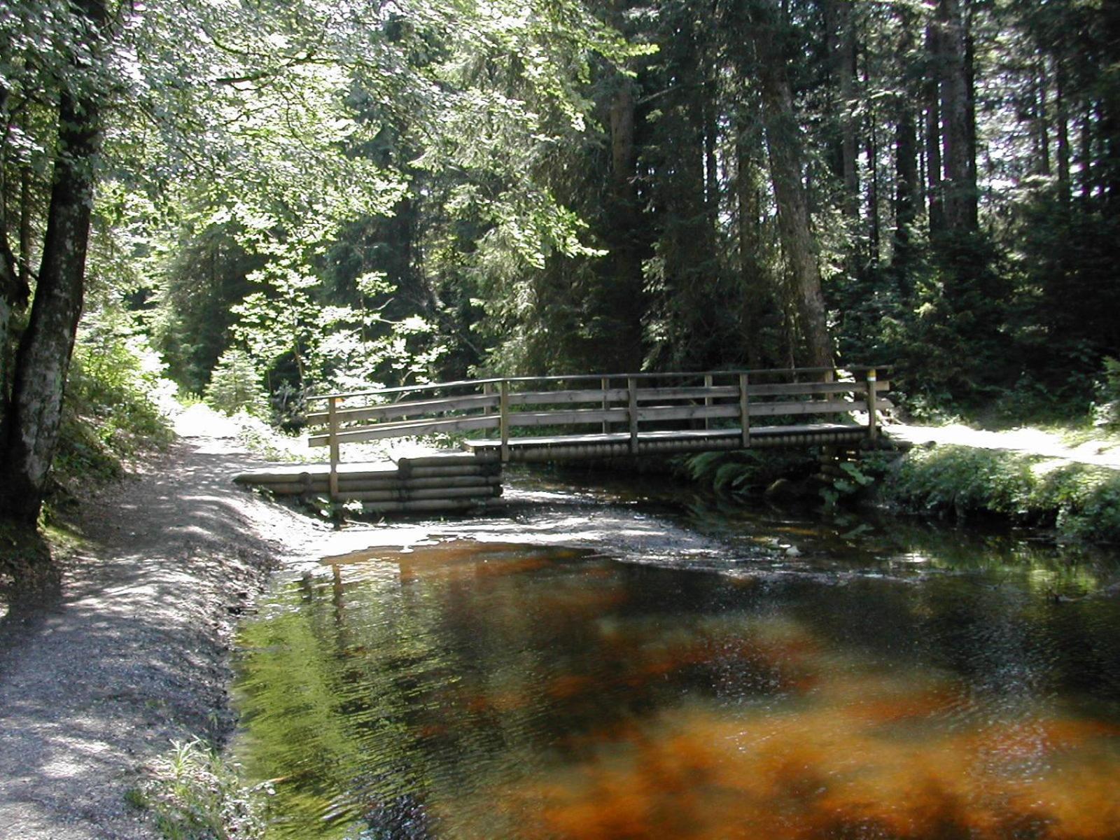 Hotel Marvia Schwarzenberg im Bregenzerwald Luaran gambar