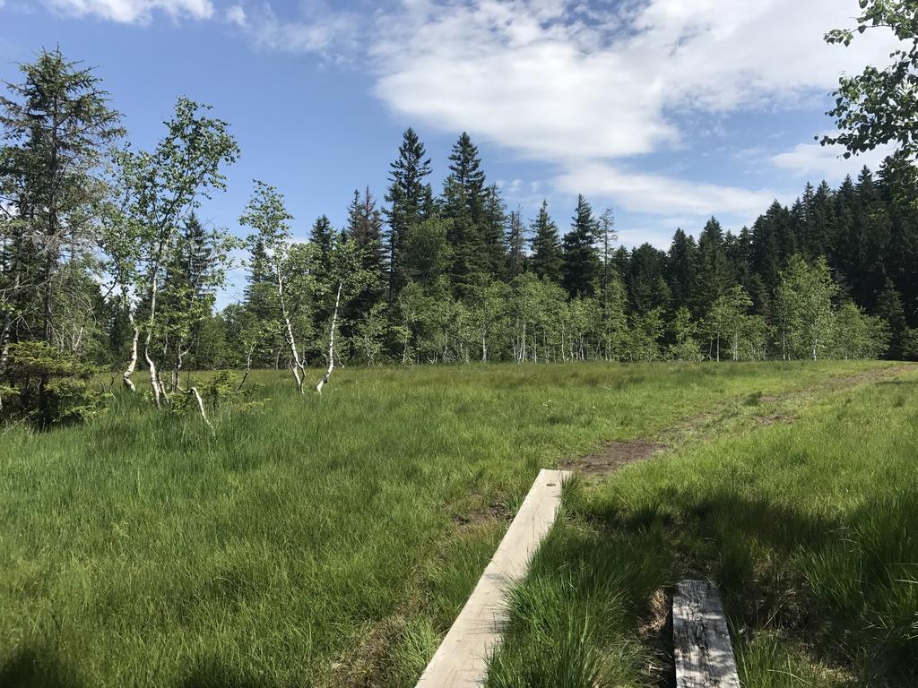 Hotel Marvia Schwarzenberg im Bregenzerwald Luaran gambar